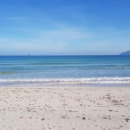 פורט ד'אלקודיה Ideal Property Mallorca - Mary מראה חיצוני תמונה